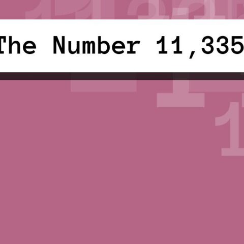 About The Number 11,335
