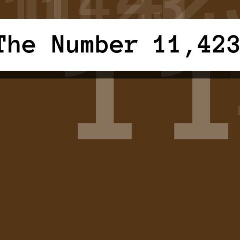 About The Number 11,423