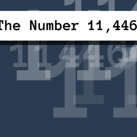 About The Number 11,446