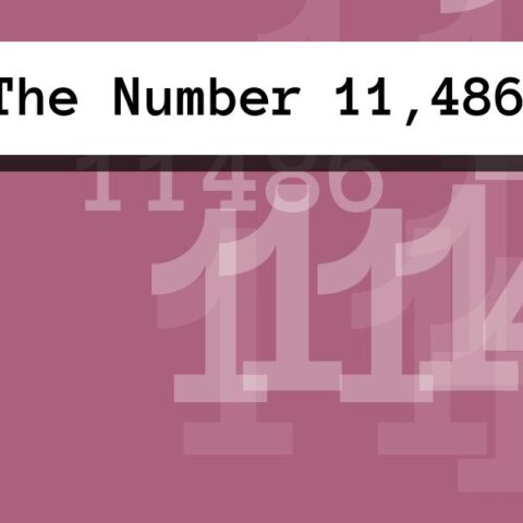 About The Number 11,486