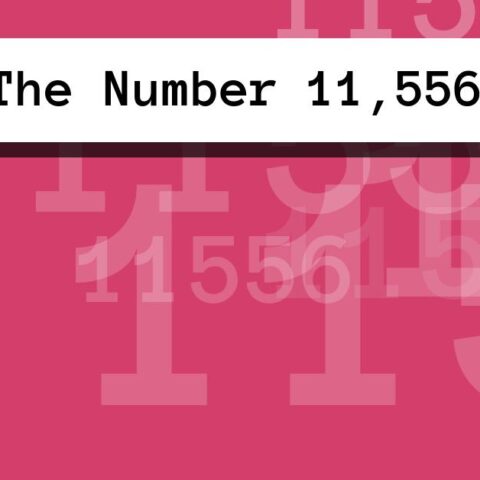 About The Number 11,556