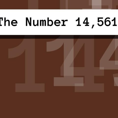About The Number 14,561