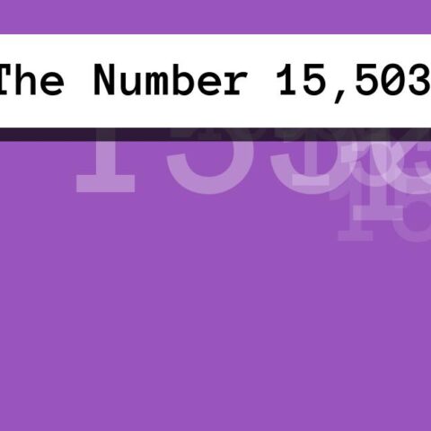 About The Number 15,503