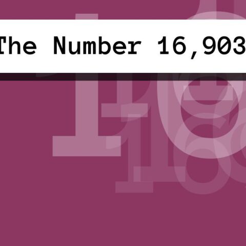 About The Number 16,903
