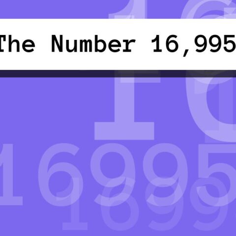 About The Number 16,995