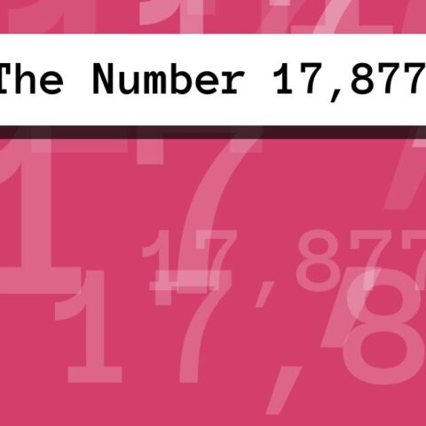 About The Number 17,877
