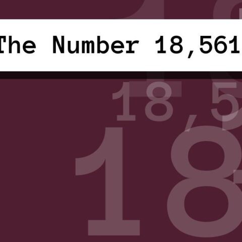 About The Number 18,561