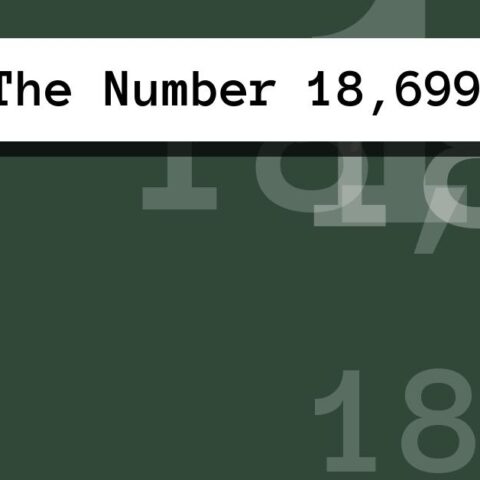 About The Number 18,699