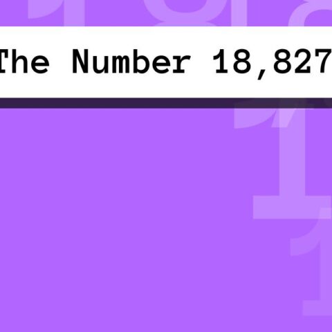About The Number 18,827