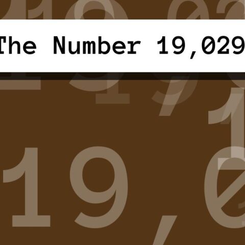 About The Number 19,029