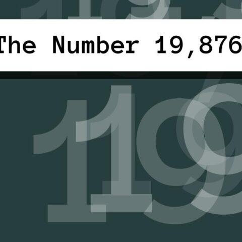 About The Number 19,876
