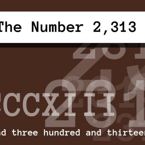About The Number 2,313