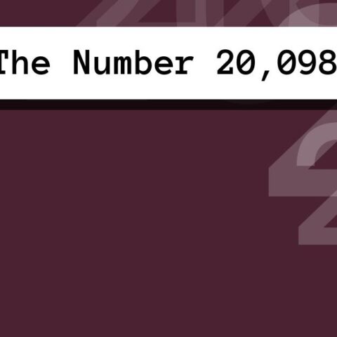 About The Number 20,098