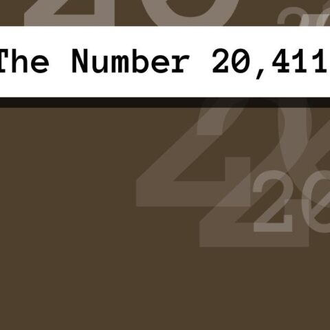 About The Number 20,411