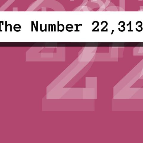About The Number 22,313