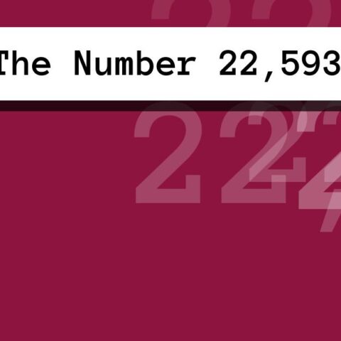 About The Number 22,593