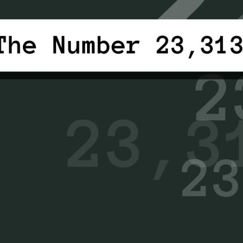 About The Number 23,313