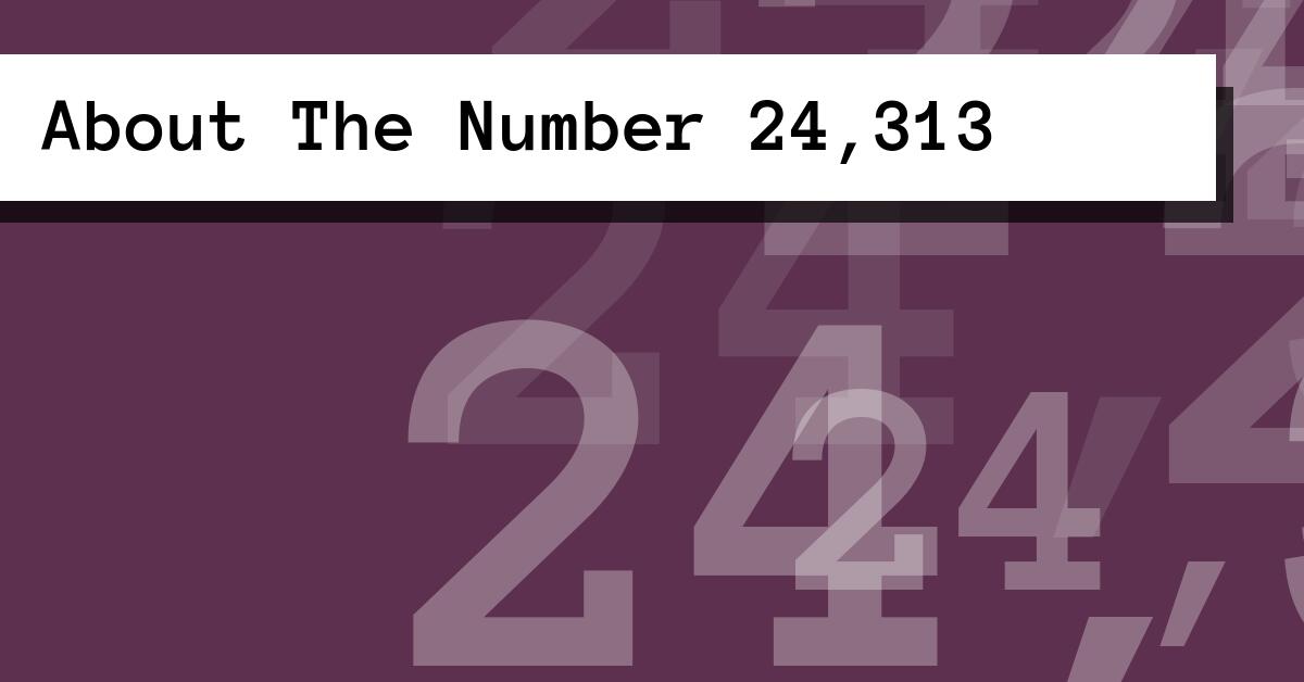 About The Number 24,313