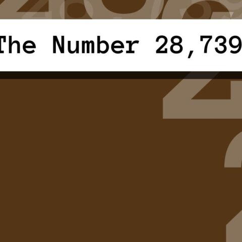 About The Number 28,739