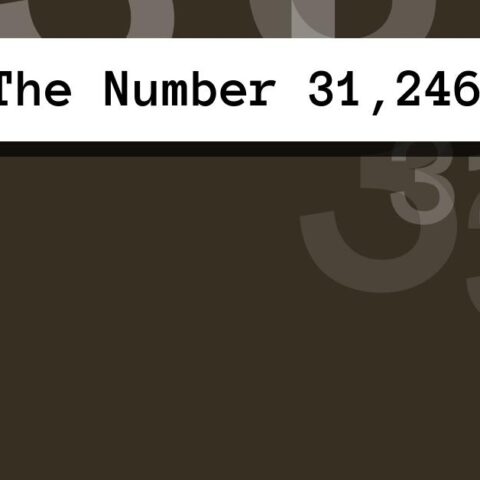 About The Number 31,246