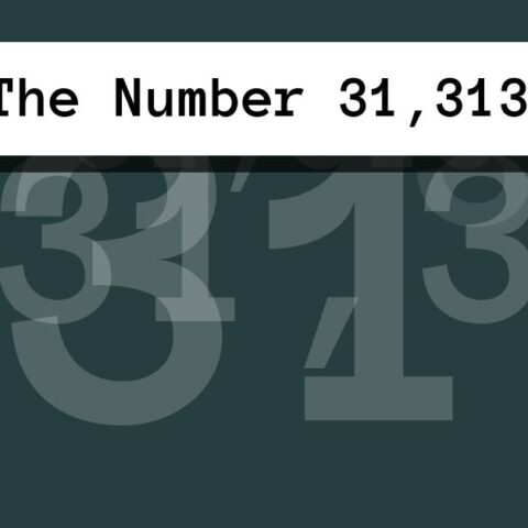 About The Number 31,313