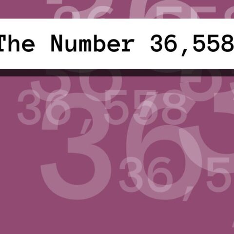 About The Number 36,558