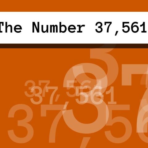 About The Number 37,561