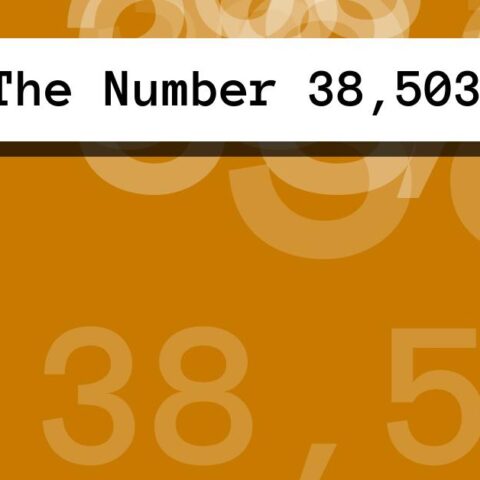 About The Number 38,503