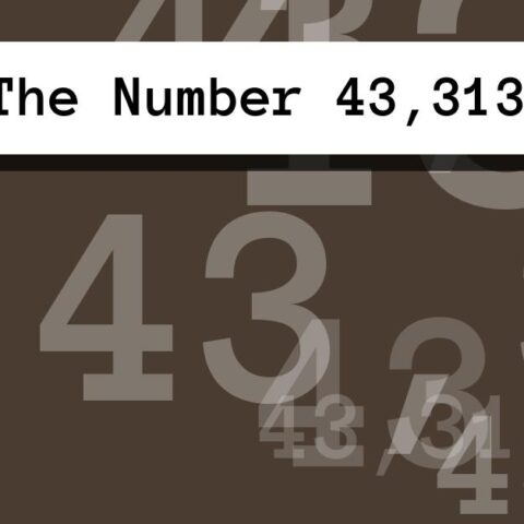 About The Number 43,313