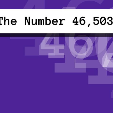 About The Number 46,503