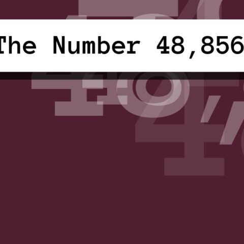 About The Number 48,856