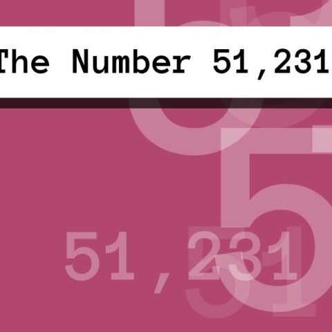 About The Number 51,231
