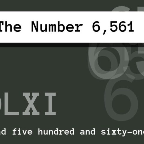 About The Number 6,561
