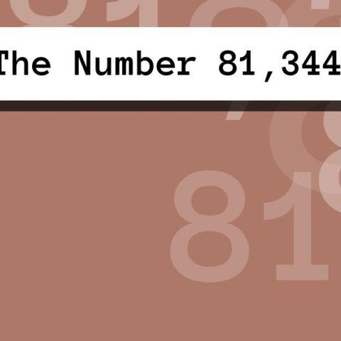 About The Number 81,344
