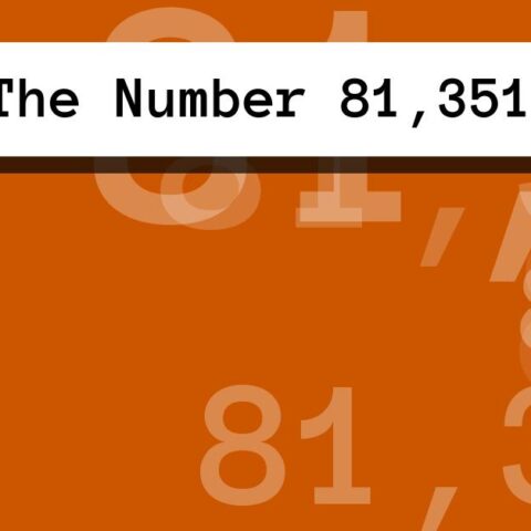 About The Number 81,351