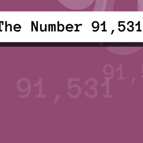 About The Number 91,531