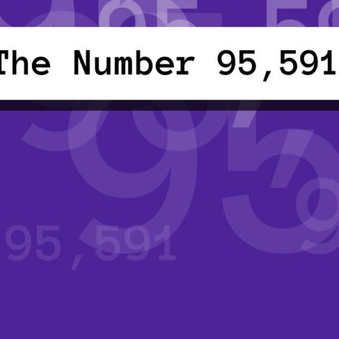 About The Number 95,591