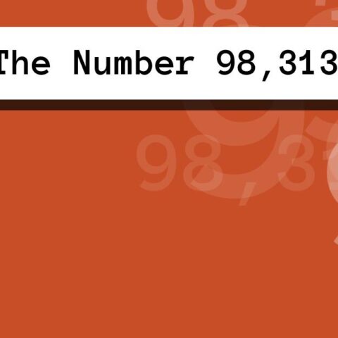 About The Number 98,313